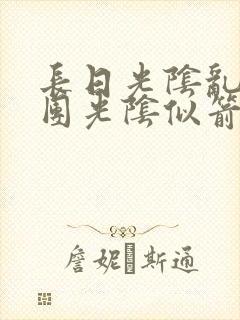 长日光阴乱作一团光阴似箭无弹窗封面