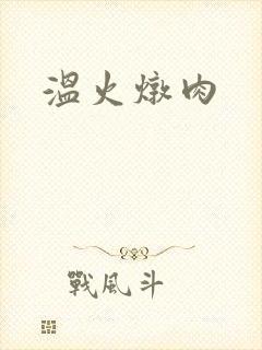 温火炖肉封面