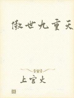 傲世九重天小说