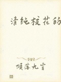 清纯校花的被封面