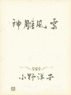 神雕风云封面