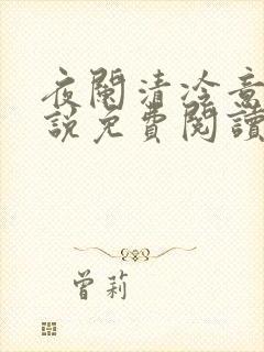 夜阑清冷意欢小说免费阅读封面