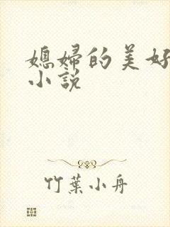 媳妇的美好时代小说