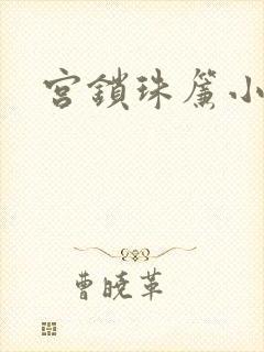 宫锁珠帘小说封面