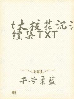 t大校花沉浮录续集TXT