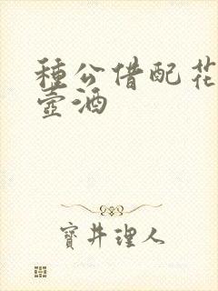 种公借配花间一壶酒