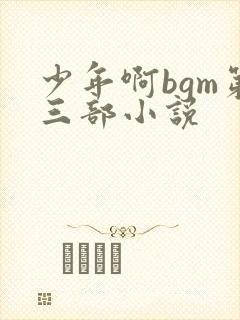 少年啊bgm第三部小说