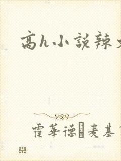 高h小说辣文封面