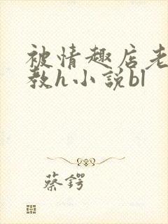 被情趣店老板调教h小说bl