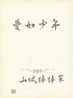 爱如少年封面