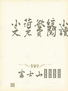 小荷欲绽小说全文免费阅读笔趣阁封面