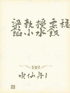 梁教授要稳住肉馅小水饺