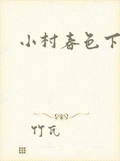 小村春色下载