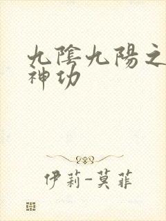 九阴九阳之阴阳神功