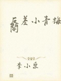 反差小青梅笔趣阁