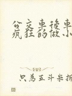 公交车后车座的疯狂的做小