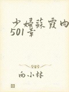 少妇苏霞肉欲第501章