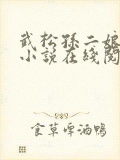 武松孙二娘云雨小说在线阅读