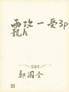 两攻一受3p双龙h