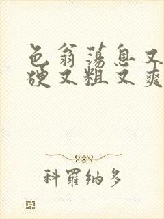 色翁荡息又大又硬又粗又爽小莹封面