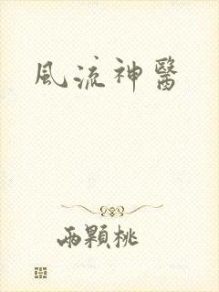 风流神医