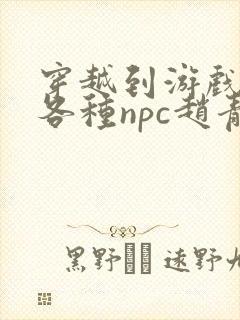 穿越到游戏里和各种npc赵青蔓