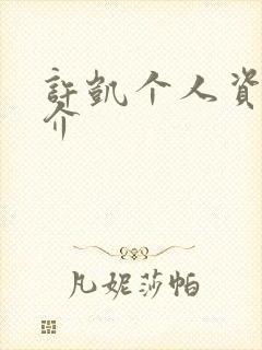 许凯个人资料简介