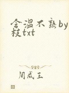 含温不熟by词枝txt封面