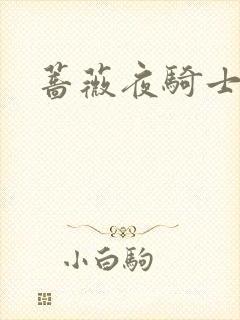 蔷薇夜骑士