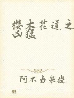 樱木花道之重生凶猛