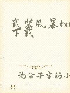 武装风暴txt下载