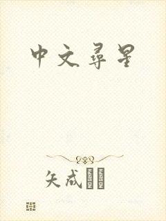中文寻星