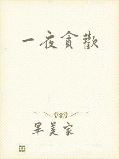 一夜贪欢