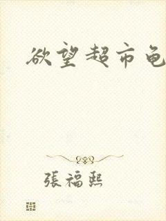 欲望超市龟甲封面