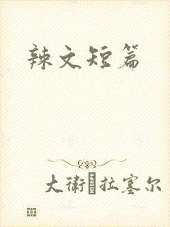 辣文短篇封面