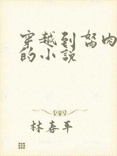 穿越到胬肉系统的小说封面