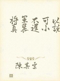 将军不可以魏云真慕迟小说笔趣阁