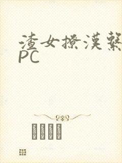 渣女撩汉系统NPC封面