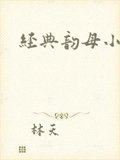 经典韵母小说封面