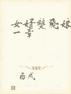 女婿双飞娘俩第一章