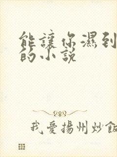 能让你湿到不行的小说