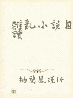 杂乱小说目录阅读