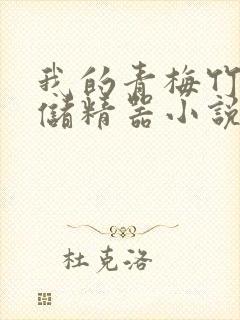 我的青梅竹马是储精器小说封面