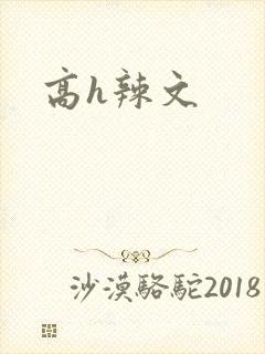 高h辣文