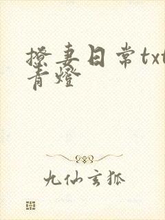 撩妻日常txt青灯