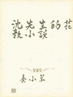 沈先生的花式管教小说