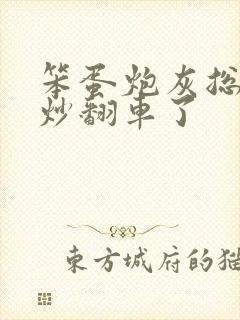 笨蛋炮灰总被爆炒翻车了