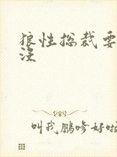 狼性总裁要够了没