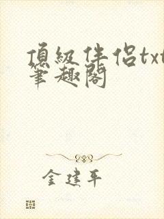 顶级伴侣txt笔趣阁