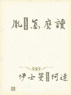 胤禩怎么读封面